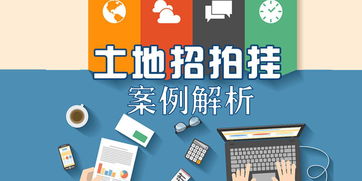 地产投融资实战 招拍挂项目全流程架构设计与税务筹划案例解析